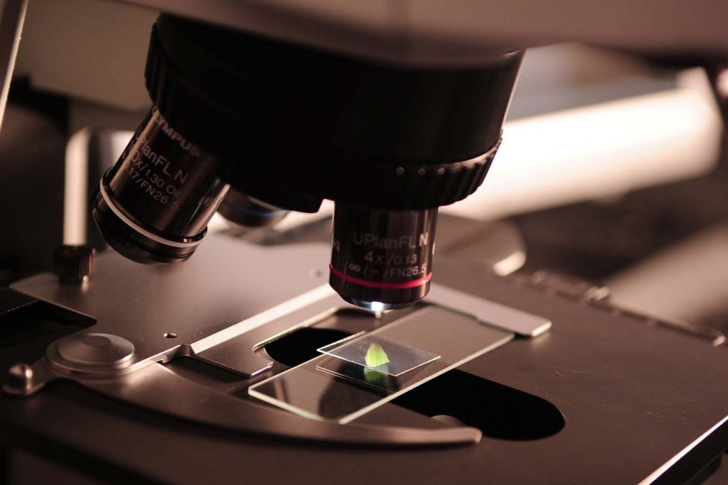 Consegnati i nuovi laboratori alla Fondazione ITS Biotecnologie e Nuove Scienze della Vita